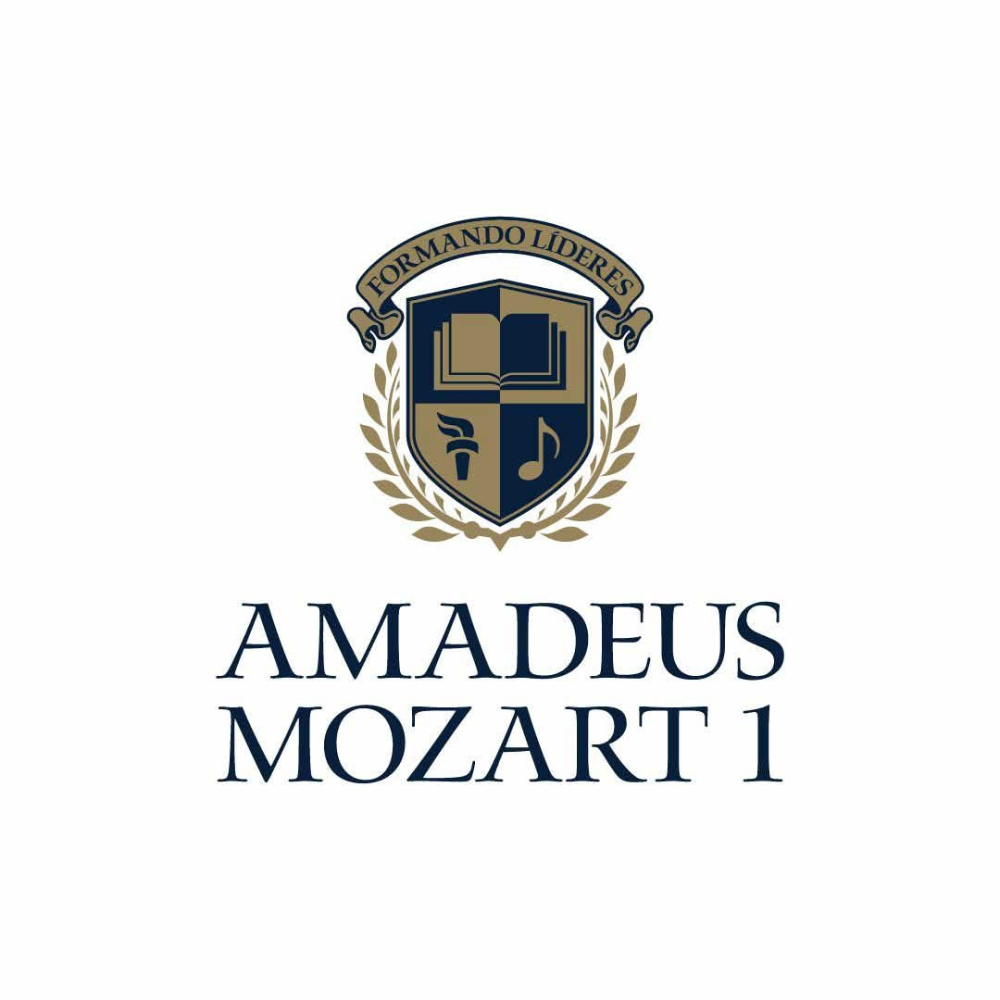 COLEGIO AMADEUS MOZART